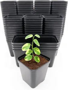 CZ Grain 2 Inch Starter Planter – Square Plastic Nursery Planter with Drainage for Seedlings, Herbs, Succulents & Plant Propagation