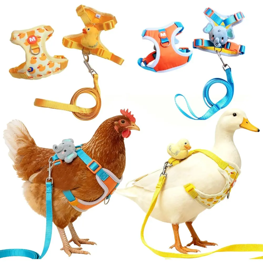 Bird Poultry 2-Piece Adjustable Leash & Harness Set - Elastic, Breathable Vest for Training, Walking - Includes Brooder Starter Kit with Heat Lamp