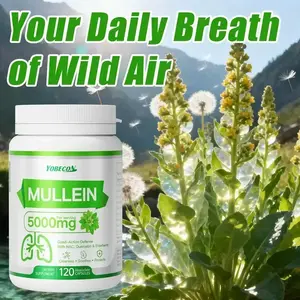 Heaisrlate Mullein & NAC Supplement| 45000mg Mullein Leaf| Mucus Removal Dry Cough Support| Respiratory Health & Immune Boost| Antioxidant-Rich Formula| 120 Capsules| Year-Round Airway Care| Allergen-Free