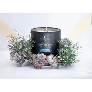 Midwinter Ritual Soy Candle with Peppermint and Sodalite