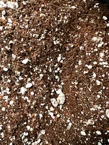 Coco Coir Rooting Mix