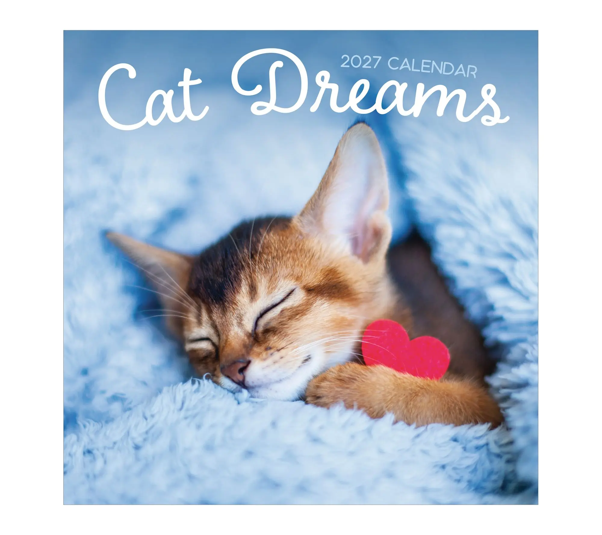 TF Publishing 2027 Cat Dreams Wall Calendar
