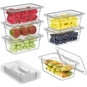 6 Pack 1/4 4'' Clear Plastic Food Pans With Lids, Commercial Stackable Polycarbonate Freezer-Safe for Fruits Vegetables Restaurant Kitchen