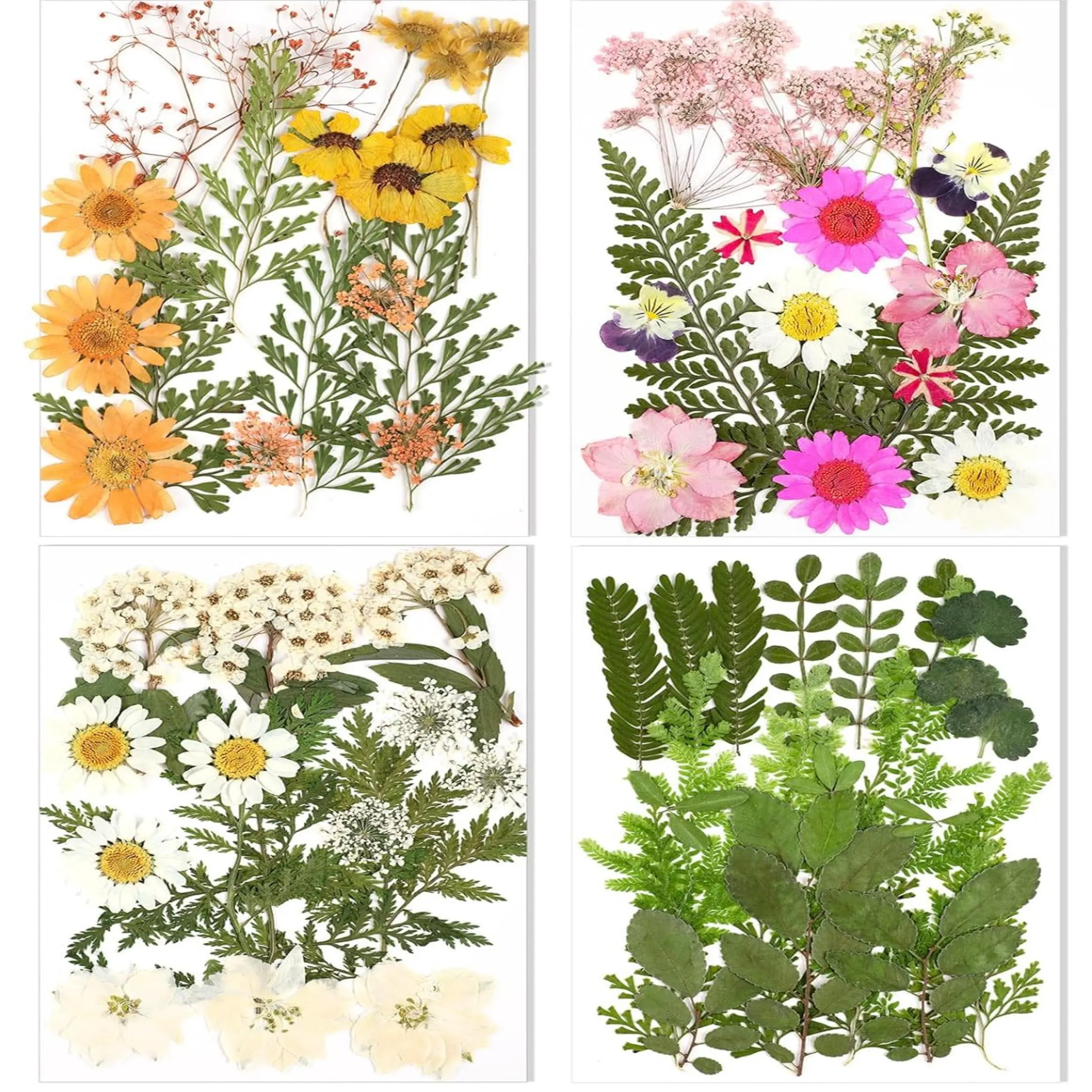 70pcs Dried Pressed Flowers Resin Craft Supplies, Wildflowers Bulk with Tweezers, DIY Christmas Crafts for Resin Molds Nail Soap Making, Candle Making, Diy Handicraft Kit