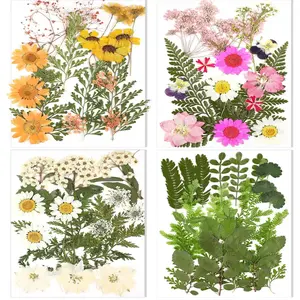 70pcs Dried Pressed Flowers Resin Craft Supplies, Wildflowers Bulk with Tweezers, DIY Christmas Crafts for Resin Molds Nail Soap Making, Candle Making, Diy Kit