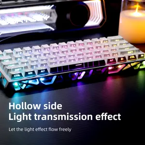 60% Mechanical Gaming Keyboard Wired Hot Swappable Custom Switches Topographic Hollow RGB Backlit Computer Keyboard
