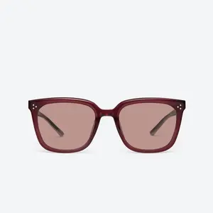 GENTLE MONSTER Gent BRC19 Brown Frame Brown Lenses Square Shape