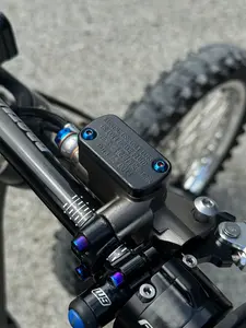 Titanium brake reservoir cap bolts
