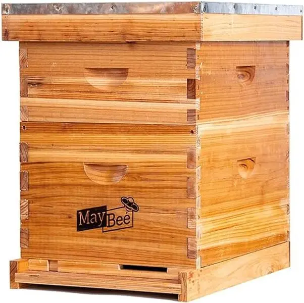 MayBee Hives 8/10 Frame Heavy Wax-Coated Cedar Wood Langstroth Beekeeping Starter Kit for Beginners - Deep Box, Medium Super, Wooden Frames, Beewax Foundation, Exterior Safety Home & Garden Supply