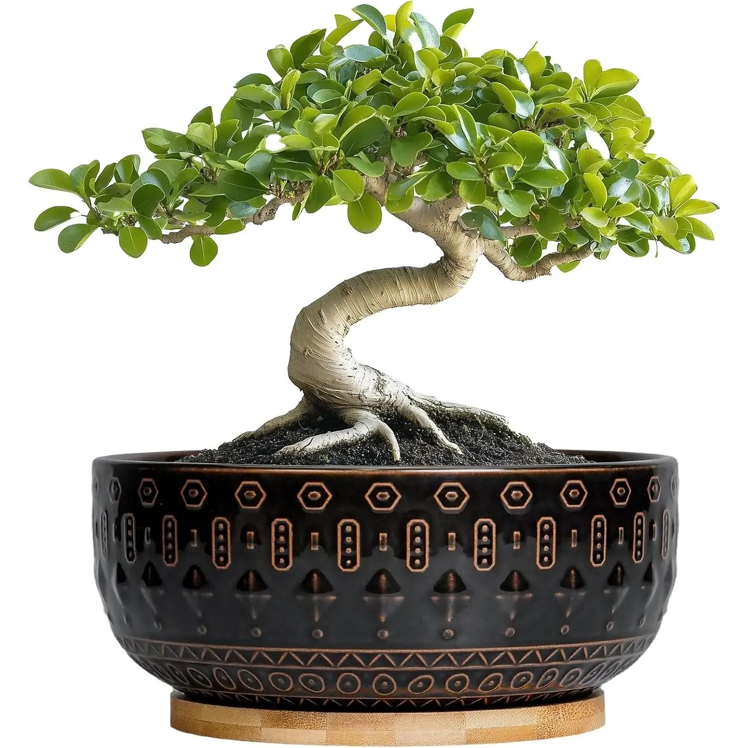 8-Inch Black Ceramic Bonsai Planter - Shallow Round Succulent/Cactus Bowl with Drainage Hole & Tray, Indoor Garden/Room Decor, Birthday Gift for Home Improvement Garden Supplies