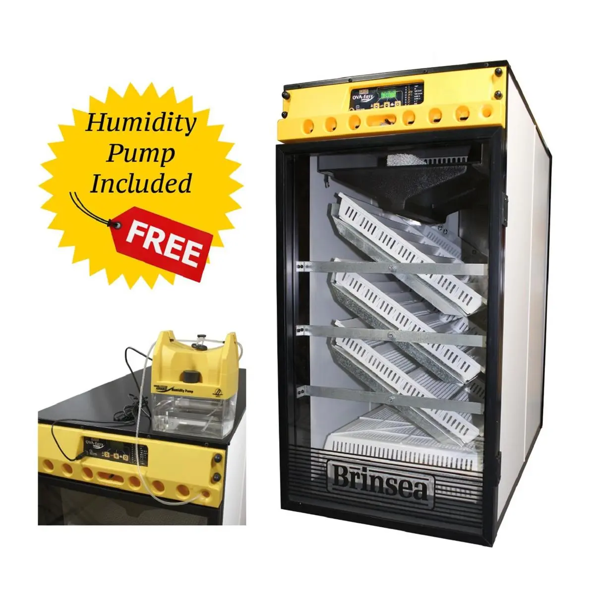 Brinsea Products Ova-Easy 380 Advance Series II Cabinet Incubator - External Humidity Pump, Automatic Humidity Control, 2 Covered Hatching Trays, 6 Universal Egg Trays, 37" H x 22" W x 37" L, 80 lbs, Metal Frame, Humid Control, Auto Turning, Hatch Eggs