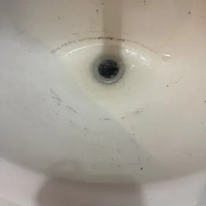 review image 5
