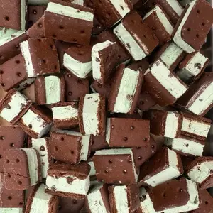 Freeze Dried MINT CHOCOLATE CHIP Ice Cream Sandwich Bites - TikTok Viral - Crunchy Ice Cream - Astronaut Candy
