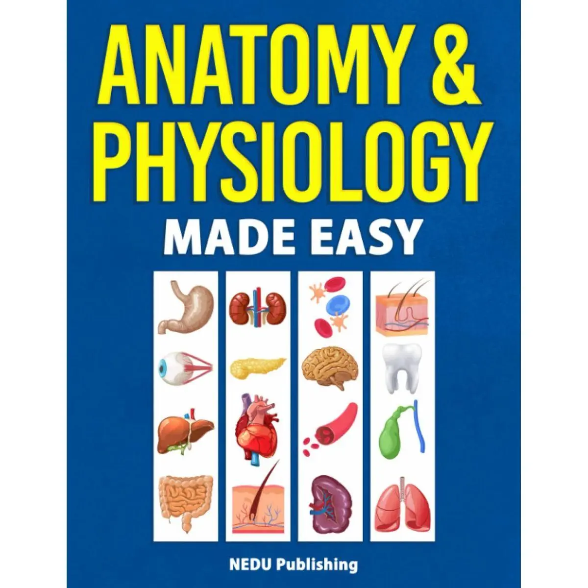 Anatomy & Physiology Made Easy: An Illustrated Study Guide for Students To Easily Learn Anatomy and Physiology