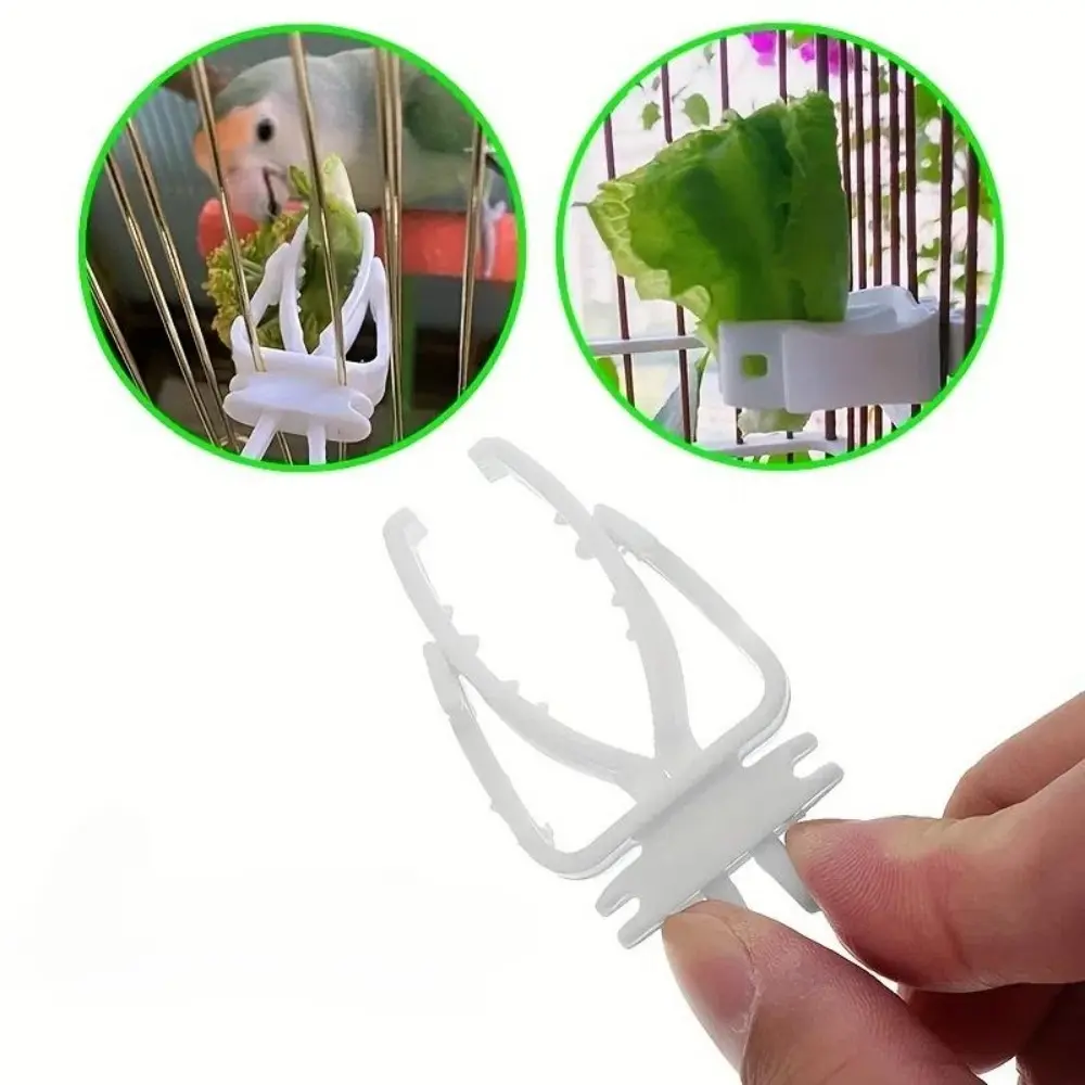 3 pcs Small Pet Bird Food Rack Parrot Fruit & Vegetable Clip Cuttlefish Bone Feeder Bird cage accessories Hanging Bird Feeder Bird Supplies