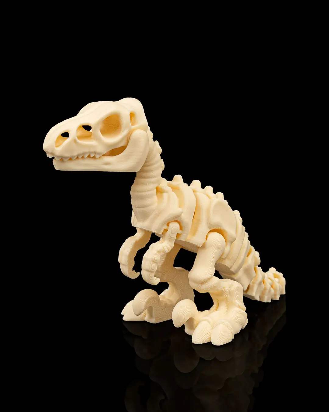 Mini Velociraptor 3D Skeleton Articulated Collectible Figure Modern Design Prehistoric Dinosaur Model High-Quality Craftsmanship