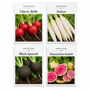 800+ USA-Grown Radish Seeds Variety Pack, 4 Individual Packs, Cherry Belle, Daikon, Black Spanish & Watermelon Radish, Non-GMO Heirloom Vegetable Seeds for Home Garden Planting