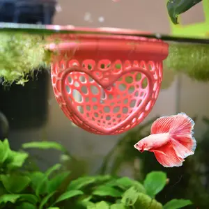 Heart Shape Floating Betta Fish Tunnel Set, Suction Cup Fun Toy, Aquatic Aquarium Feeder, Fish Tank, Promotes Exercise & Reduces Stress, Multi-Piece Kit