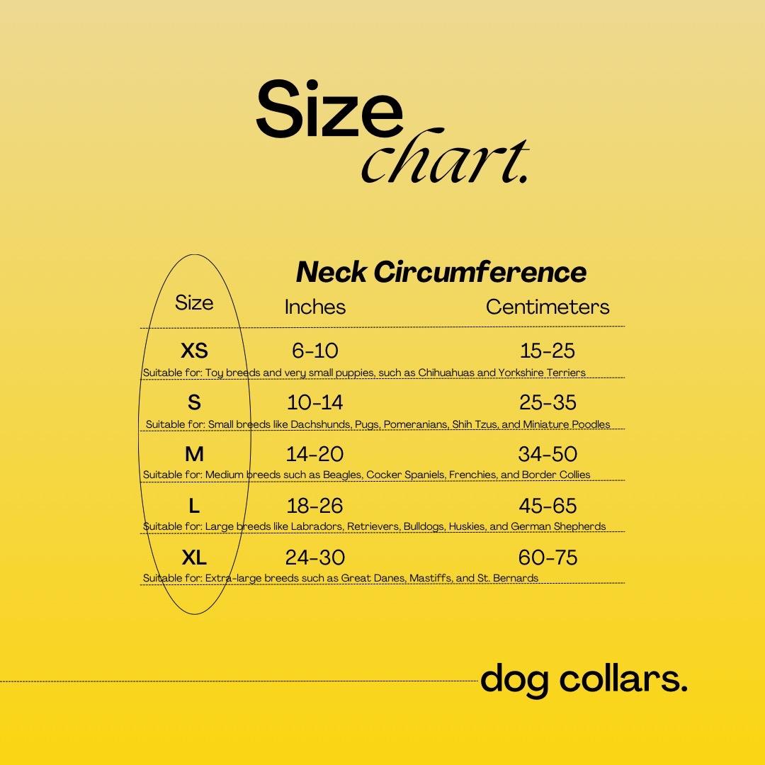 The Daisy Mae Custom Dog Collar