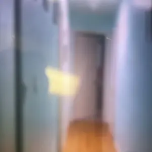 review image 8