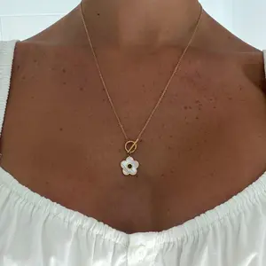 EVRY JEWELS Gold or Silver Plated Women's Hypoallergenic Aubrielle Necklace