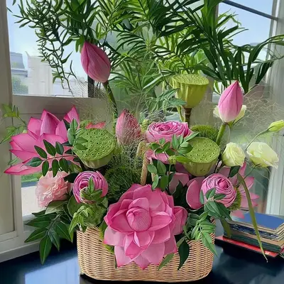 Growing Water Lilies TikTok Shop