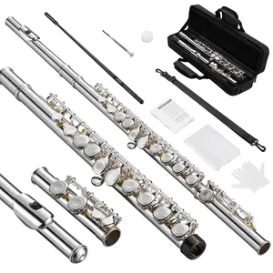 POGOLAB Open Hole C Flute Silver Plated 16 Keys Flute Instrument for Beginner Advanced Player Student Flute with Case Stand Strap Probe Rod Gloves Grease Adjustment Screwdriver Cleaning Kit