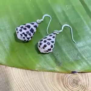 Hebrew cone earrings
