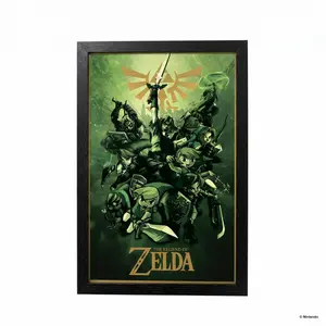 Zelda™ - Links 11x17 Gel-Coated Framed Print (11x17)