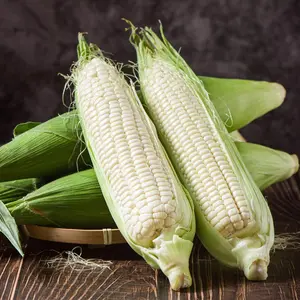 15 to 100 Waxy Conrn seeds for planting - Sticky Corn - Vietnamese Bap Nep Nu - White Glutinous Corn -Bắp nếp trắng - Bắp dẻo - Asian corn seeds