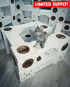 Feline Fortress