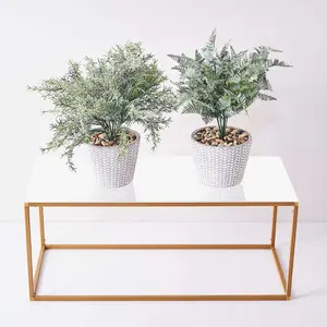 2-Pack White Acrylic Plexiglass Sheets 24"x10" Rectangular Side Plates - Protective Film Coating