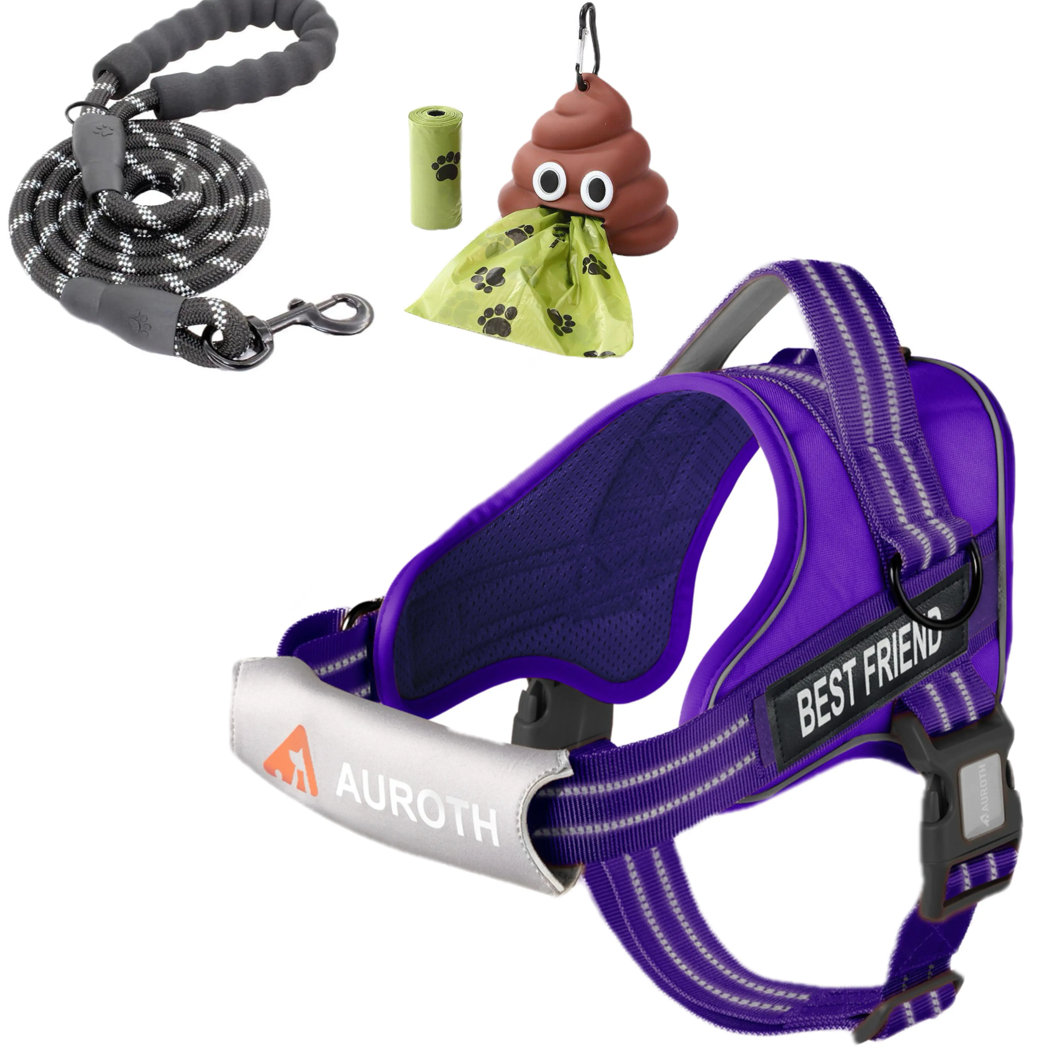 Leash Set-Purple