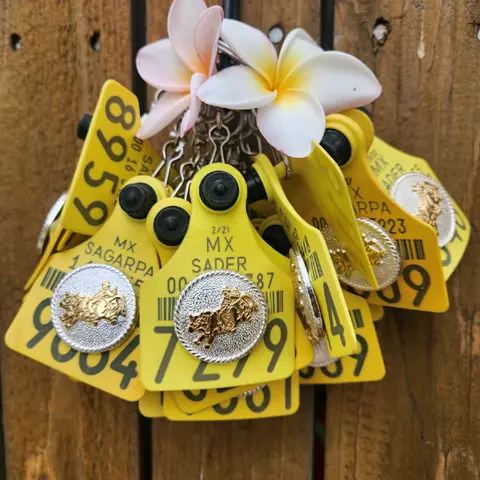 cattle bull riding /jinete de toro keychain