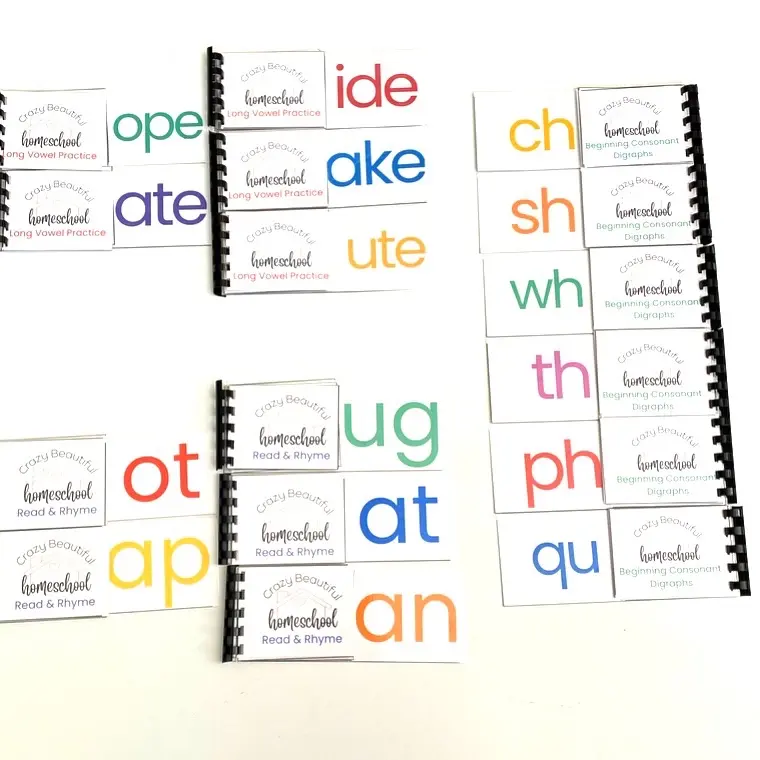 Flip book activity books SET of 16. Short vowel read and rhyme, long vowel and beginning consonant