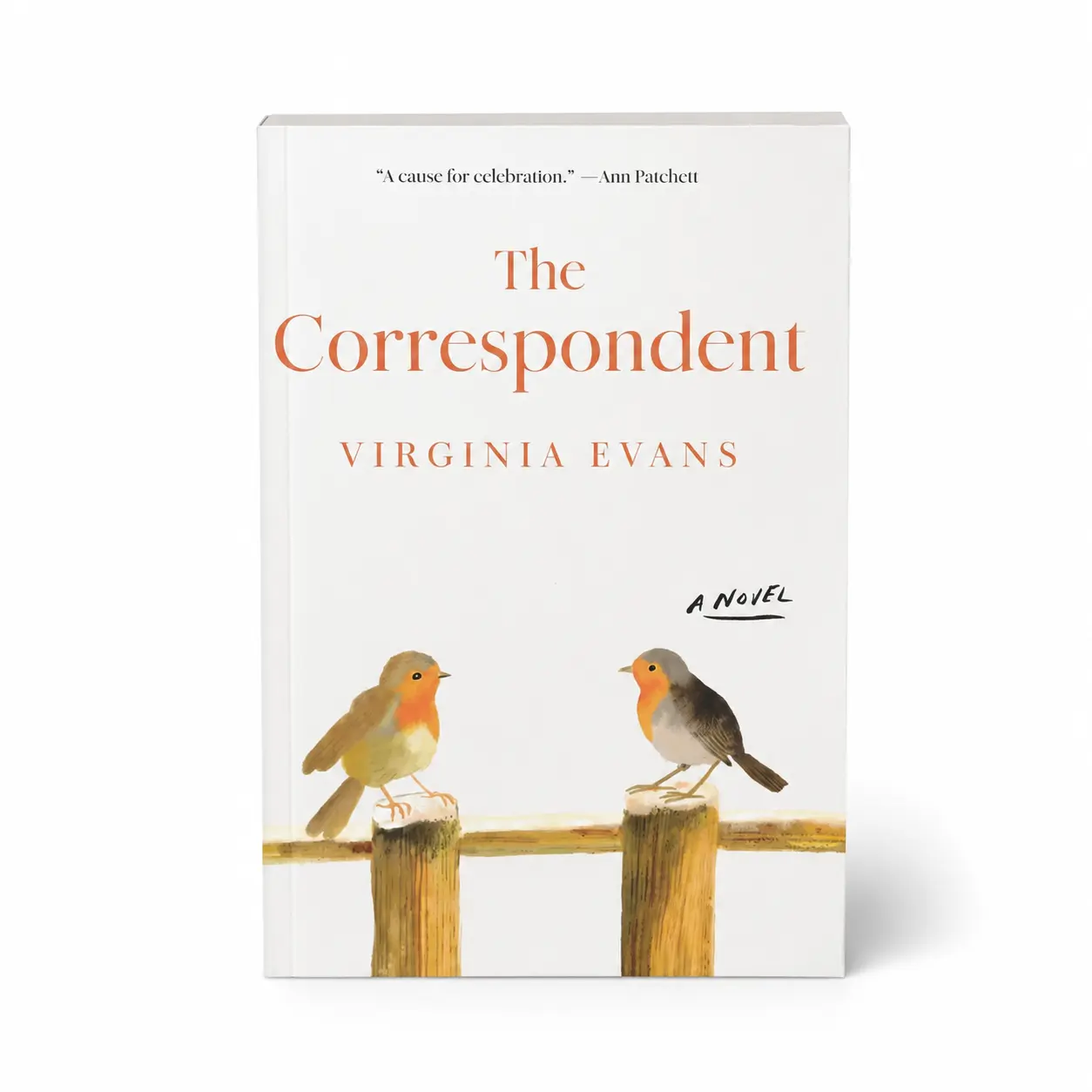 The Correspondent: A Novel by Virginia Evans | Literary Fiction Book, Contemporary Women’s Fiction, Emotional & Thought-Provoking Story of Connection and Life