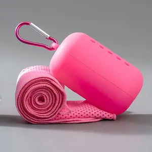 Portable Cooling Towel, 1 Count Soft & Breathable Ice Towel for Yoga, Sport, Running, Summer Ice Silk Cold Sensation Sports Towel, Outdoor Fitness Cooling Towel, Sweat Absorbing, Silicone Case, Refreshing and Cool