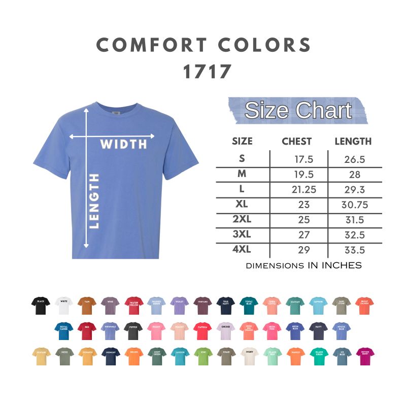 El Salvador Embroidered Shirt  | Pupusa Volcano Bird Tee | Comfort Colors Vintage Style | Hispanic Heritage Shirt