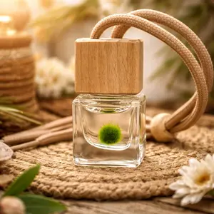 Hanging Square Glass Bottle Mini Terrarium with Wood Top