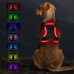 Light Up Dog Harness, Rechargeable LED Dog Vest, Breathable Mesh , Adjustable,Waterproof,Easy On & Off - Great for Walking & Training, Suitable for Small, Medium & Large Dogs, Pet Supplies