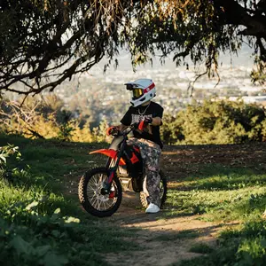 In 10 Pro Ebike for Teens & Adults e Bike Off Road(Battery & Bike Ship Separately)