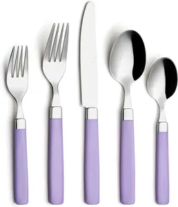 Silverware Set Stainless Steel Colorful Tableware Kitchen Flatware Set Utensils, Includes Dinner , Forks, Spoons, Salad Forks & Dessert Spoons (Lilac, 20 count)