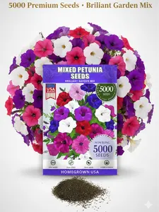5000pcs Petunia Seeds for Planting – Mix Color Annual Flower Seeds for Outdoor Garden, Hanging Baskets, and Indoor Pots – Easy to Grow, Non-GMO, Heirloom-Quality