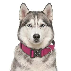 Magenta Heavy Duty Dog Collar for Husky, Escape Proof Rose Red Pet Gear with Metal Buckle, Strong Control Handle Comfort Collar for Large Breeds, No-Pull Premium Gear for Heavy Pullers