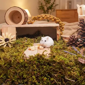 Forest-Themed Hamster Bedding Moss Coconut Soil for Syrian Hamster Cage Decoration Nest Building Digging Odor-Free Pet Supplies Hand-Picked Moss Sturdy Small Animal Hideout with Window fresh grass habitat new