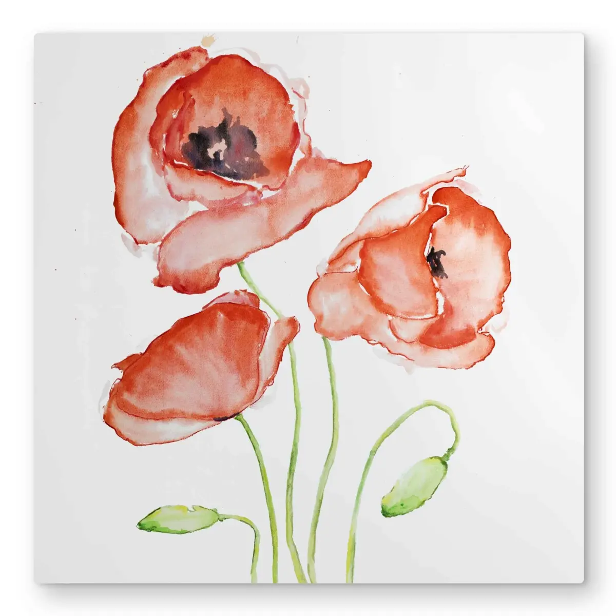 Begin Home Decor C1MP3232LFNJ7K 32 x 32 in. Watercolor Poppies - Bedroom Botanical Metal Print Wall Art - Decor