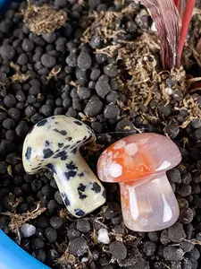 Assorted Mini Mushroom Crystal Charm
