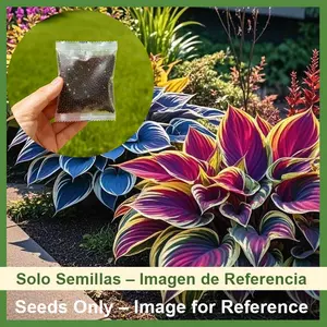 (2 Pack) 800pcs Mixed Flower Seeds, Suitable for Outdoor Planting, Garden Decoration, Easy to Grow with Proper Care, Seeds Only, Not Live Plants