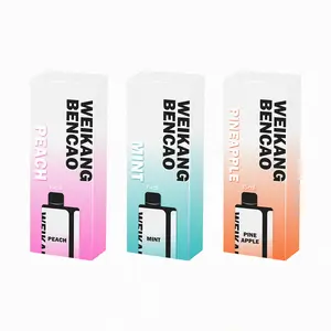 Twin-Cap Mint Inhaler Essential Oils | Late-Night Study, Long Drives, Meetings | Discreet & Reusable (Not a Vape)