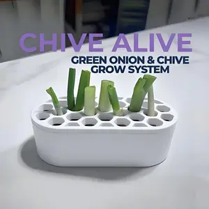 Home Onion Regeneration Kit, Easy Indoor Planting System, Planter Box, Compact Design for Balcony & Small Spaces, Fast Growing Onions, Indoor Suitability